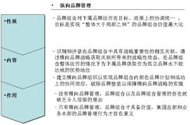 橫向品牌管理 超越傳統(tǒng)縱向模式，以攝像及制作服務為例