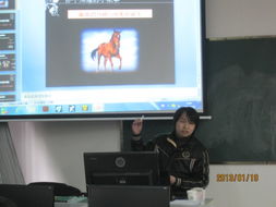 計(jì)算機(jī)組教師參加動(dòng)漫專(zhuān)題培訓(xùn)，探索技術(shù)與藝術(shù)的融合新路徑